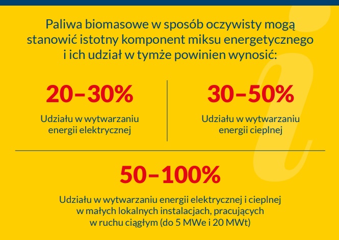 Biomasa polskim paliwem strategicznym?