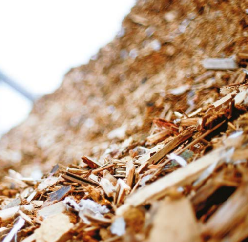 Certyfikat KZR INiG: nowe obowiązki w procedurach zakupu biomasy leśnej